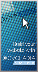 Smart Web