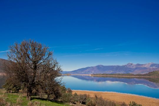 Agrotourism in Greece