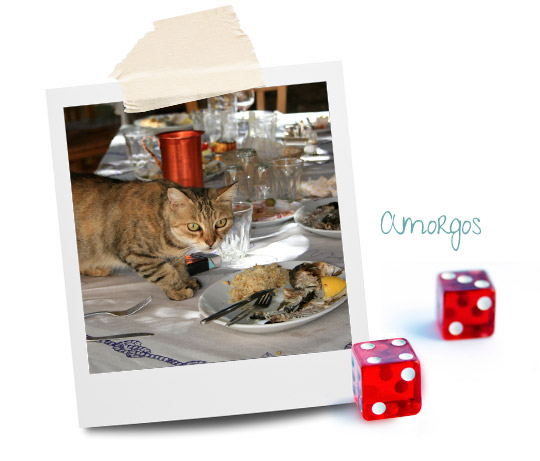 Amorgos cats