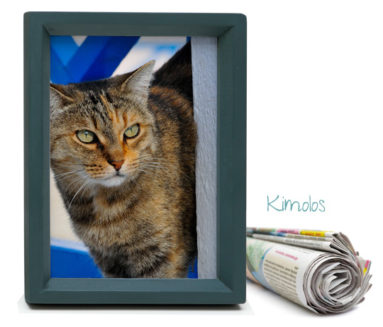 Kimolos cats