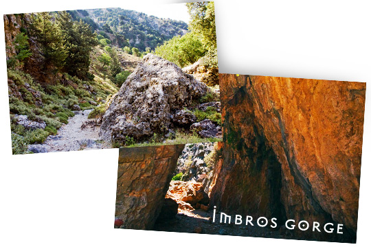 Discover gorges in Crete