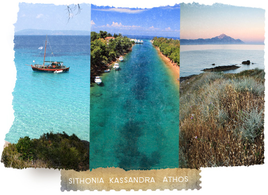 Holidays in Halkidiki