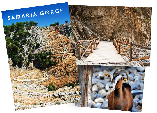 Samaria Gorge in Chania