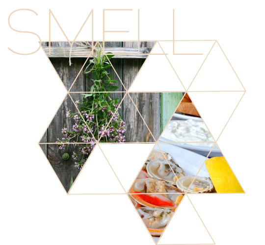 Smell_Greece