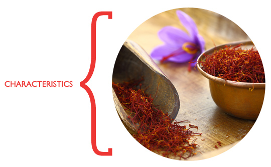 saffron_characteristics