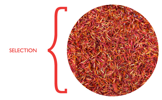 saffron_selection