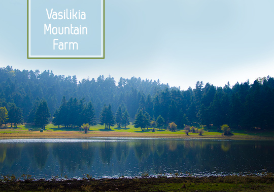 Vasilikia Mountain Farm