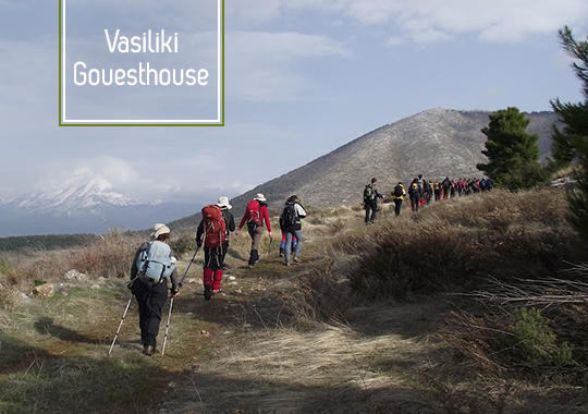 Vassiliki_Guesthouse