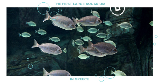 greece aquariums