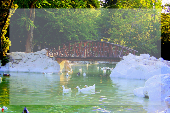 athens lake zappeion