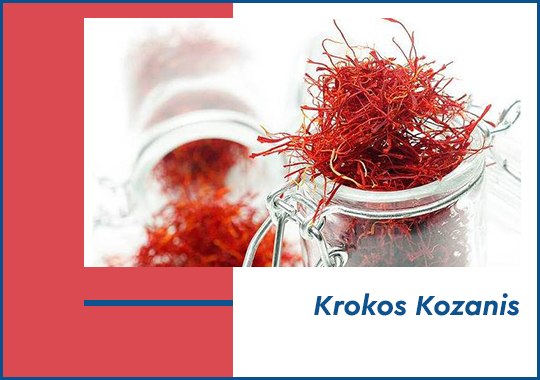 Krokos Kozanis