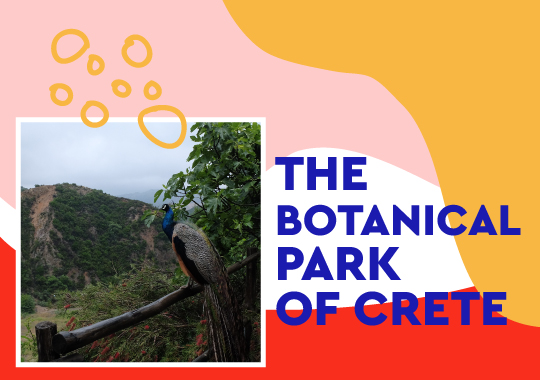 botanical park of crete