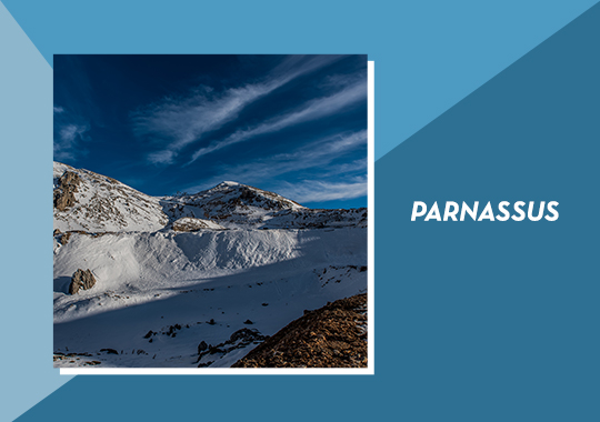 Parnassus