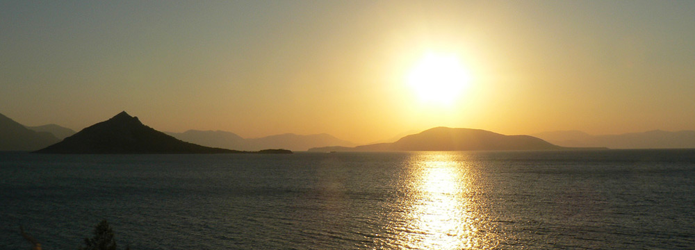 Aegina